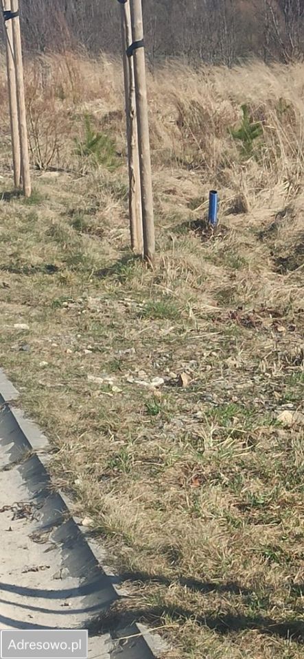 Działka budowlana Bolesław, ul. Klonowa. Zdjęcie 5