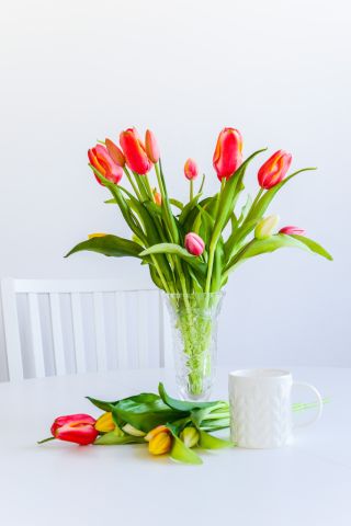 Mieszkanie 2-pokojowe Warszawa Bielany, ul. Heroldów. Zdjęcie 14