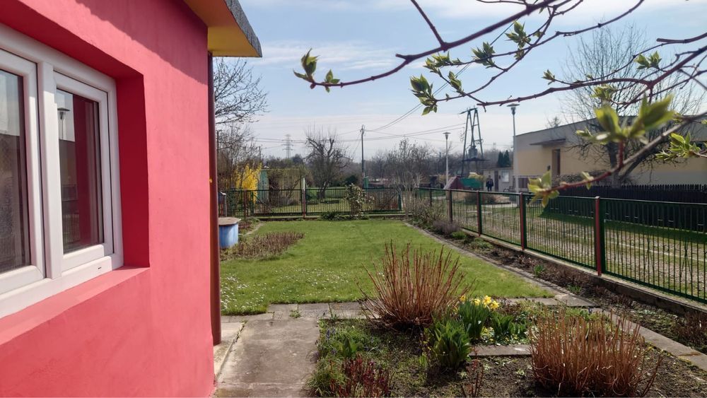 Działka rod Tychy, ul. Oświęcimska. Zdjęcie 7