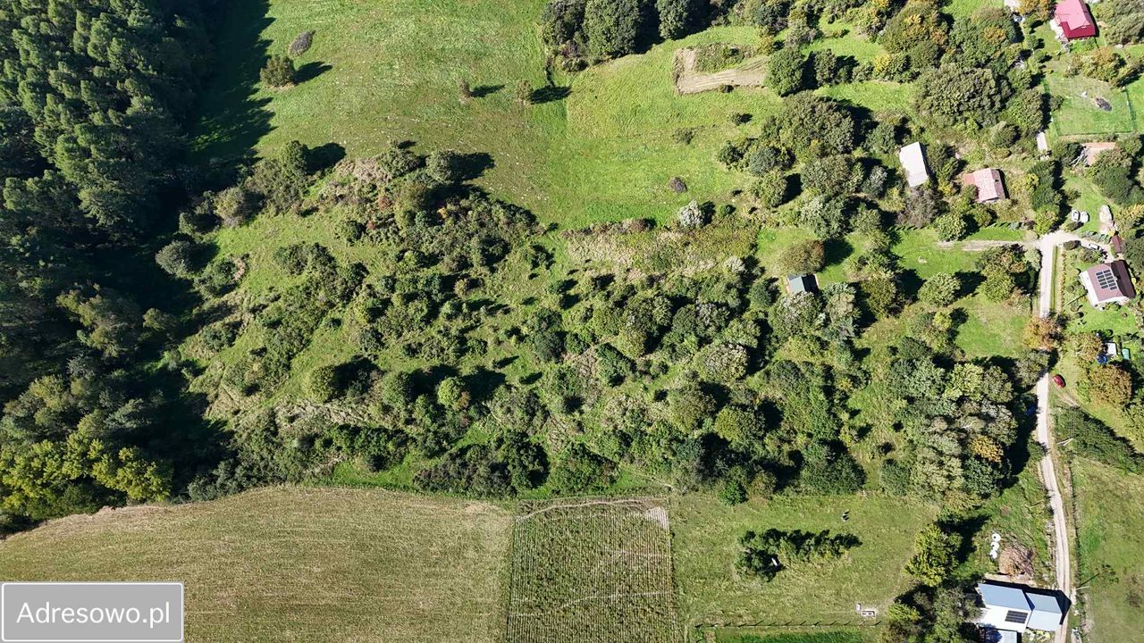 Działka rolno-budowlana Brzeżawa. Zdjęcie 4
