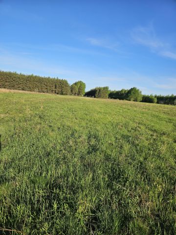 Działka budowlana Trzeboś, Trzeboś. Zdjęcie 1