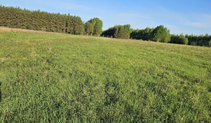 Działka budowlana Trzeboś, Trzeboś