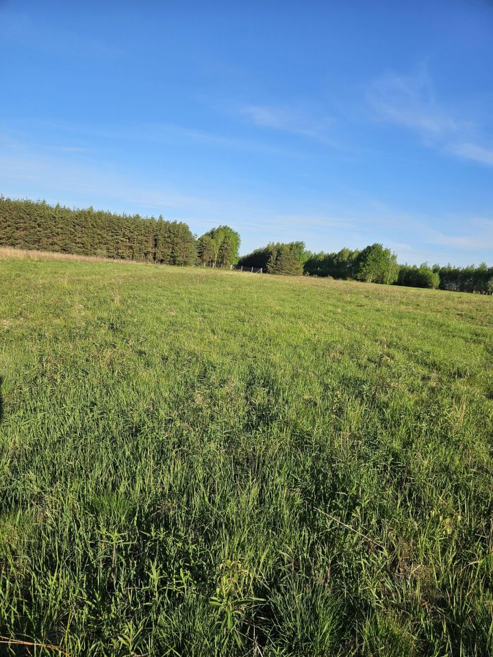 Działka budowlana Trzeboś, Trzeboś. Zdjęcie 1