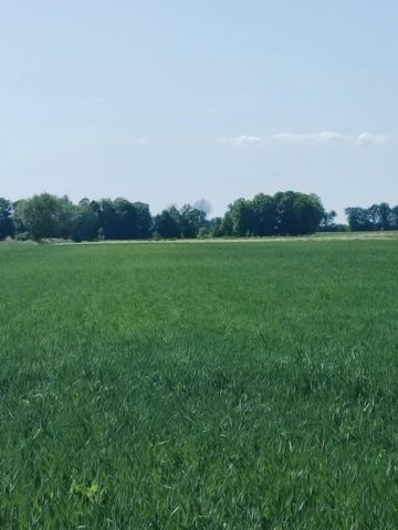 Działka rolna Leszkowy. Zdjęcie 1