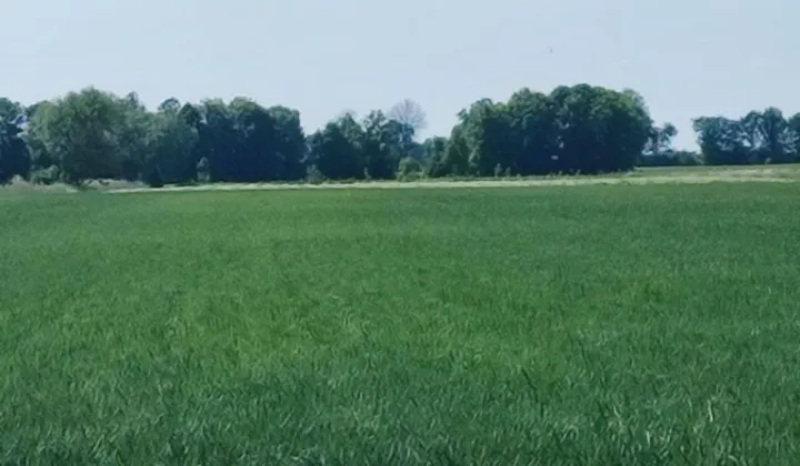 Działka rolna Leszkowy