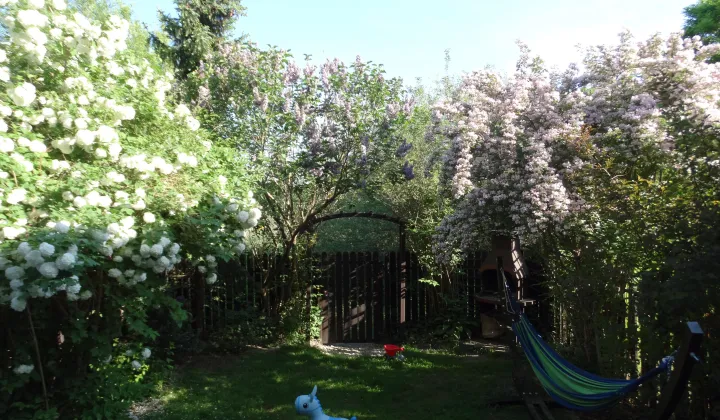 dom szeregowy, 5 pokoi Warszawa Wawer, ul. Ligustrowa