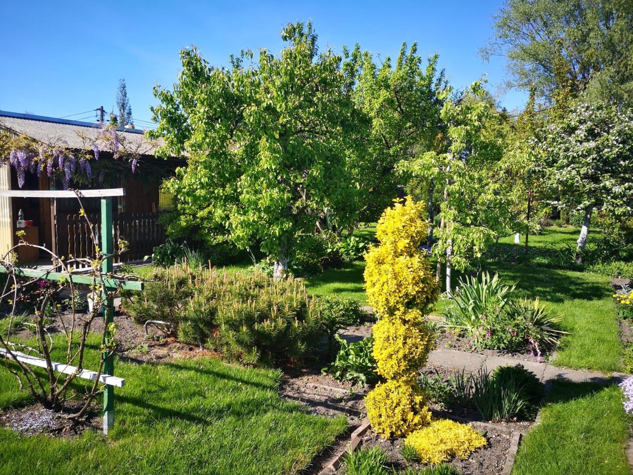 Działka rod Warszawa Włochy. Zdjęcie 3