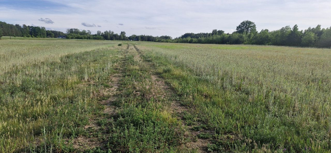 Działka budowlana Bartoszówka, ul. Pogodna. Zdjęcie 4