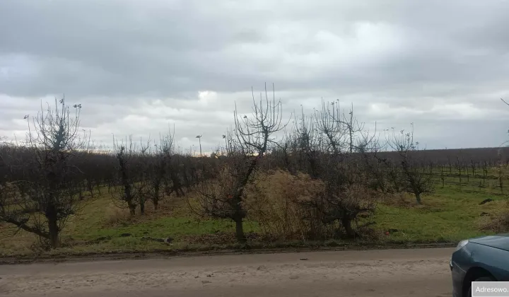 Działka rolna Głazów