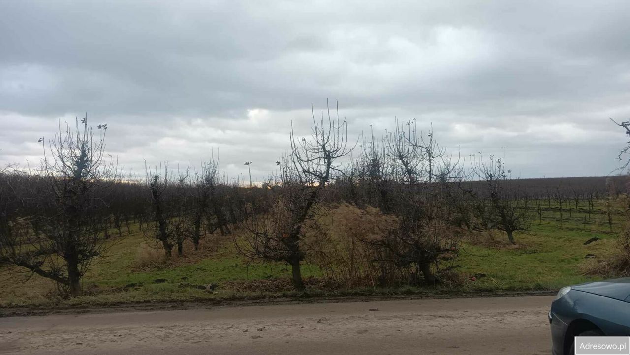 Działka rolna Głazów. Zdjęcie 1