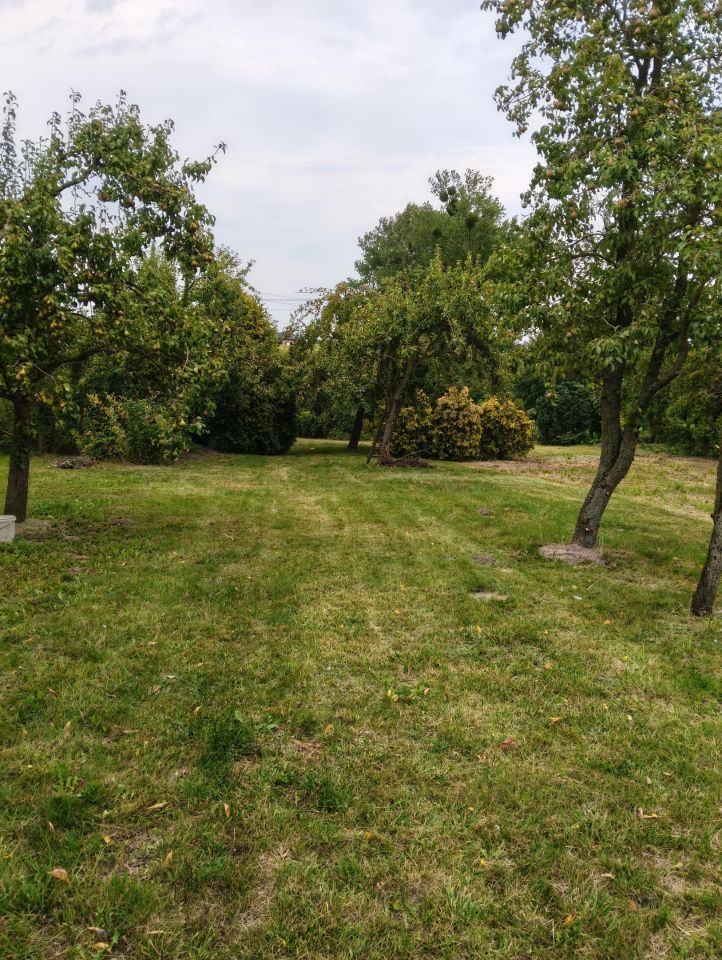 dom wolnostojący, 5 pokoi Nowa Krosnowa. Zdjęcie 5