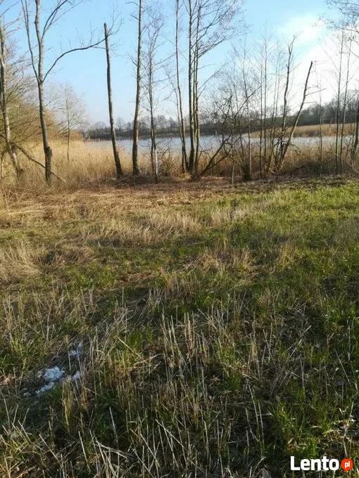 Działka rolna Kaszewo. Zdjęcie 9