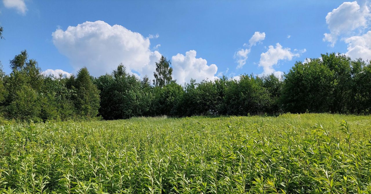 Działka budowlana Rożnów Wiesiółka. Zdjęcie 12