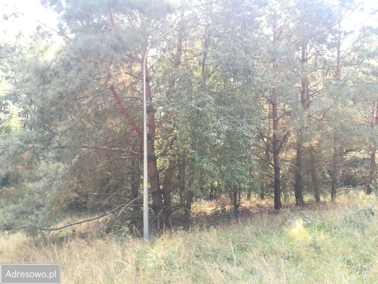 Działka budowlana Lubochnia, os. Modrze. Zdjęcie 5