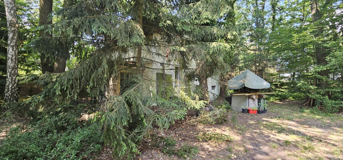 Działka inwestycyjna Magdalenka. Zdjęcie 4