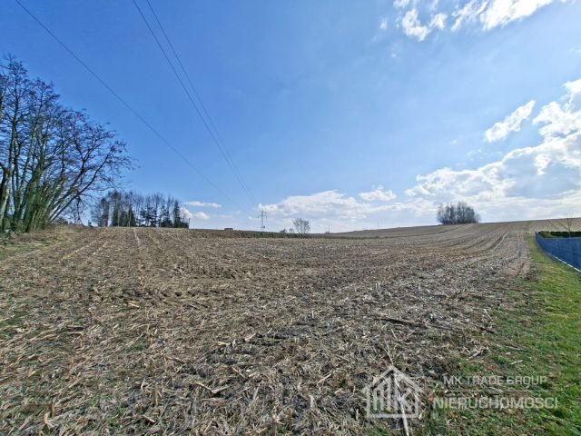 Działka Bodzanów. Zdjęcie 3