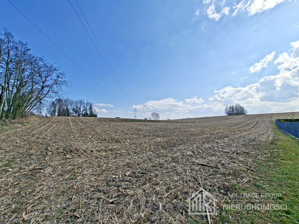 Działka Bodzanów. Zdjęcie 3