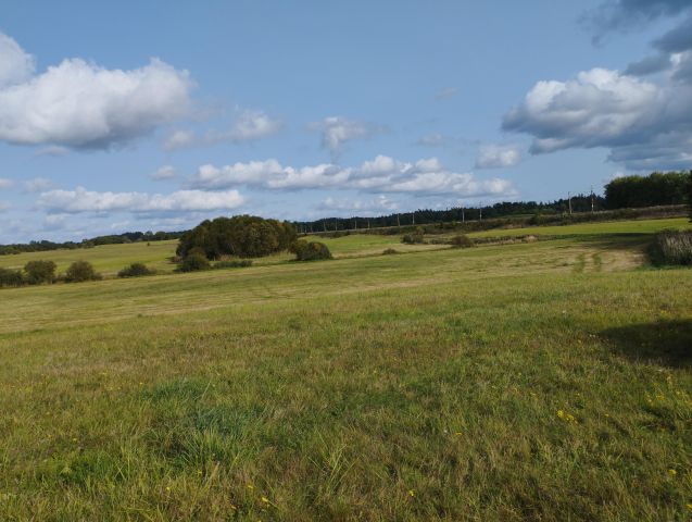 Działka rolna Łabuchy. Zdjęcie 1