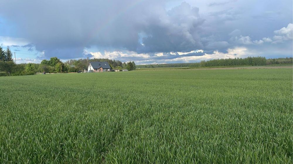 Działka budowlana Klonownica Duża