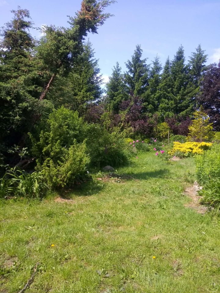 Działka budowlana Życiny. Zdjęcie 20