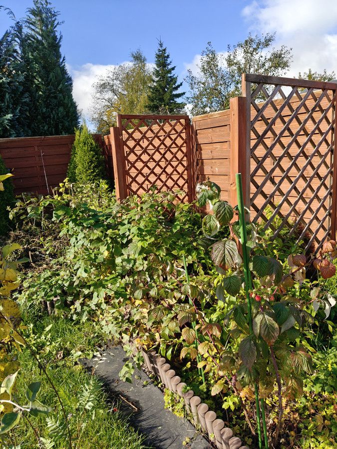 Działka rod Wałbrzych Piaskowa Góra, ul. Wrocławska. Zdjęcie 18