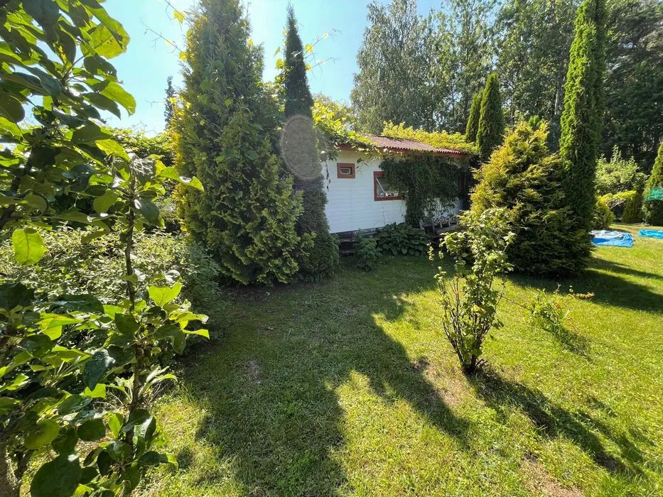 Działka rod Klebark Wielki. Zdjęcie 4