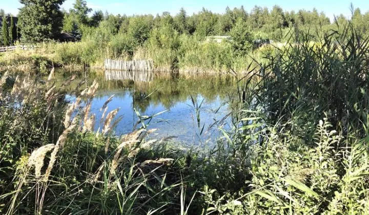 Działka rekreacyjna Sumin
