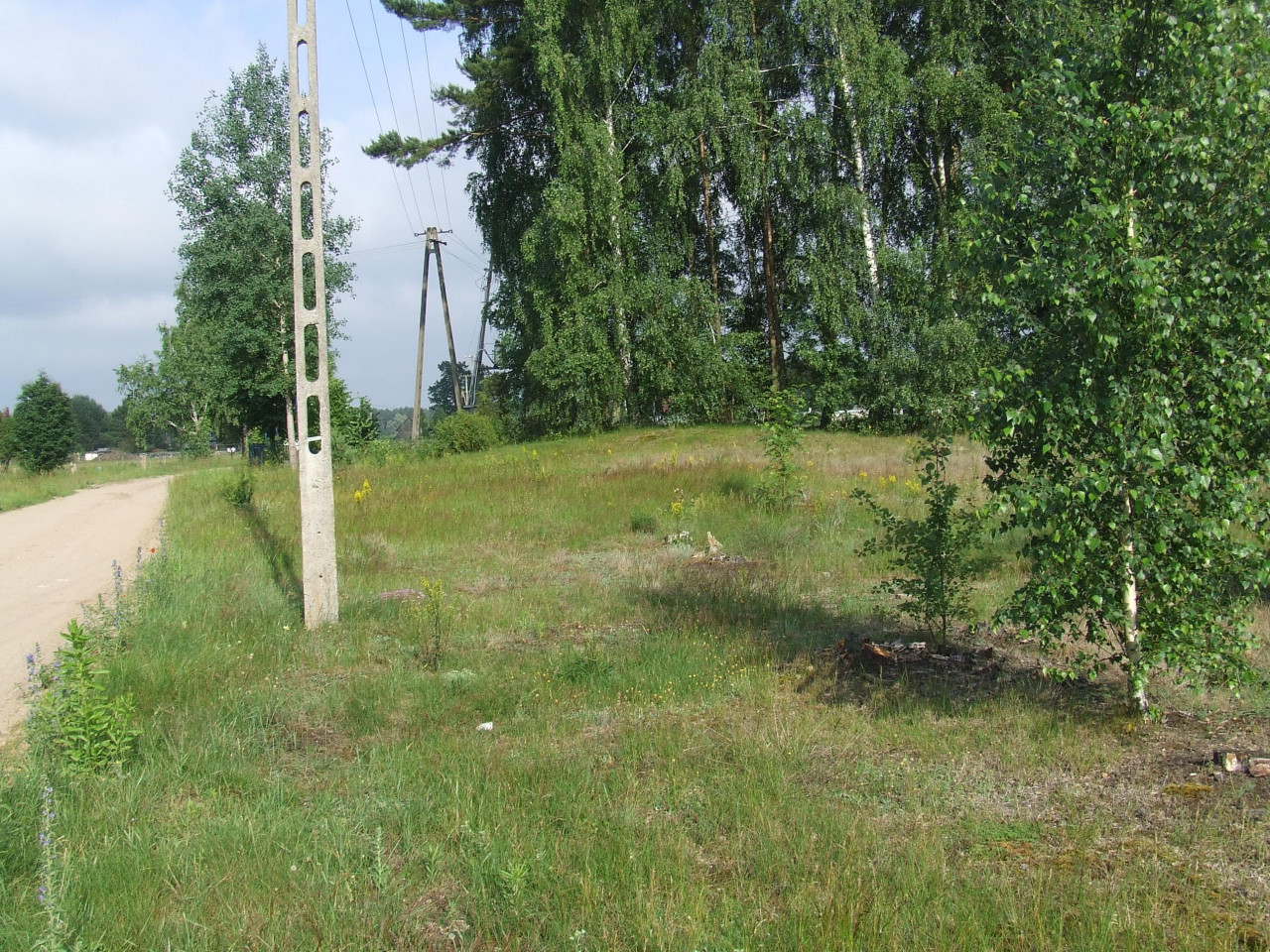 Działka budowlana Wydmusy. Zdjęcie 3