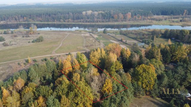 Działka rekreacyjna Zambski Kościelne. Zdjęcie 6