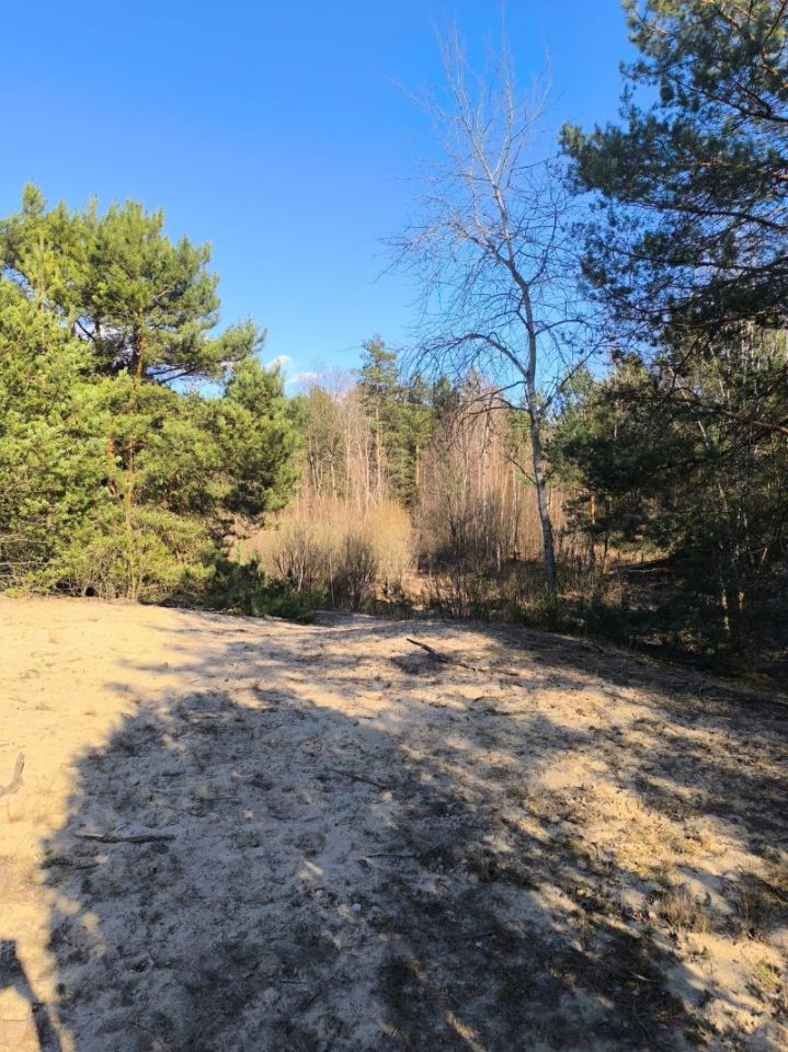 Działka budowlana Michałów-Reginów, ul. Piaskowa. Zdjęcie 6