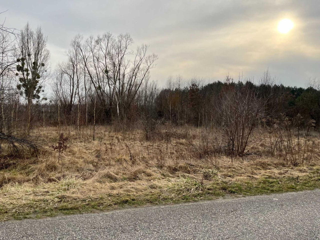 Działka budowlana Juliopol, ul. Świerkowa