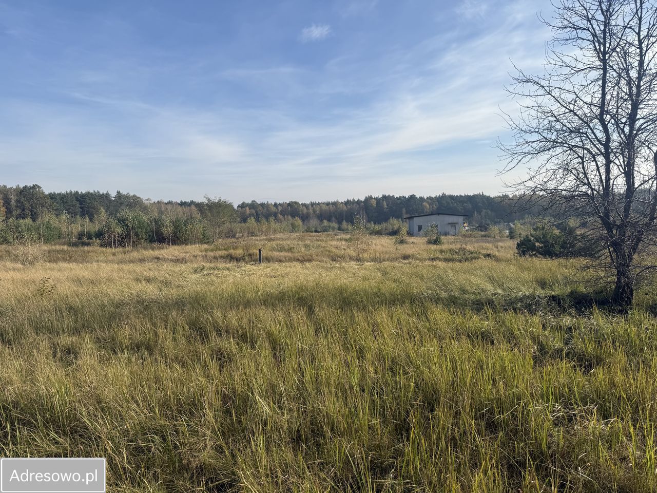 Działka budowlana Silno. Zdjęcie 3