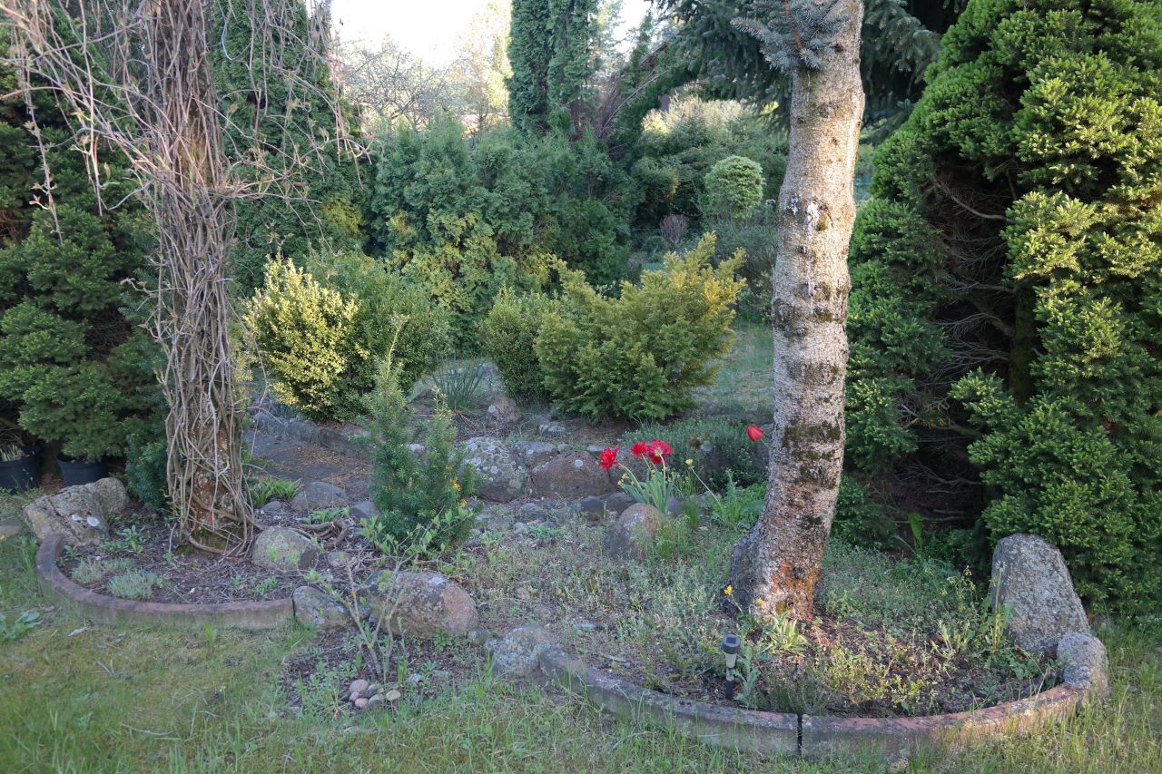 Działka rod Niewodnica Kościelna, ul. Działkowców. Zdjęcie 10