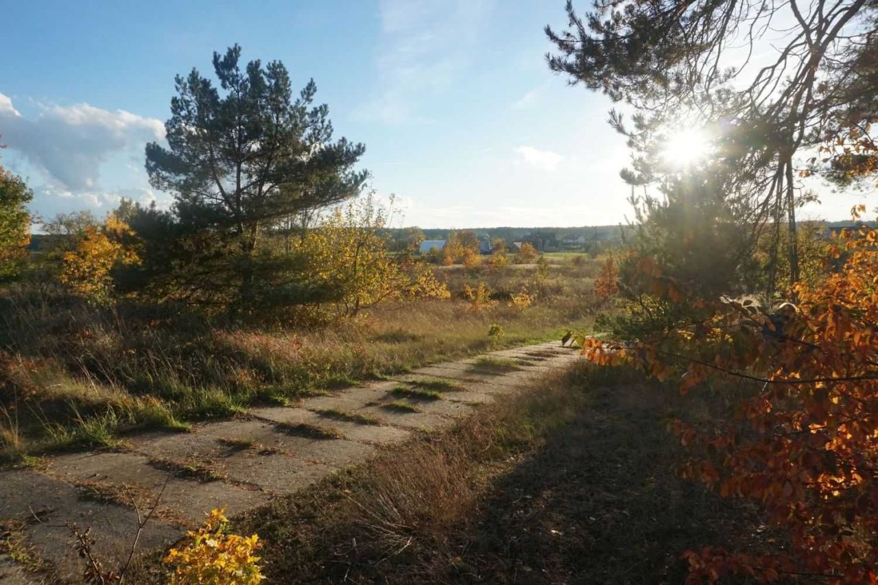 Działka rolna Jeziorki. Zdjęcie 4