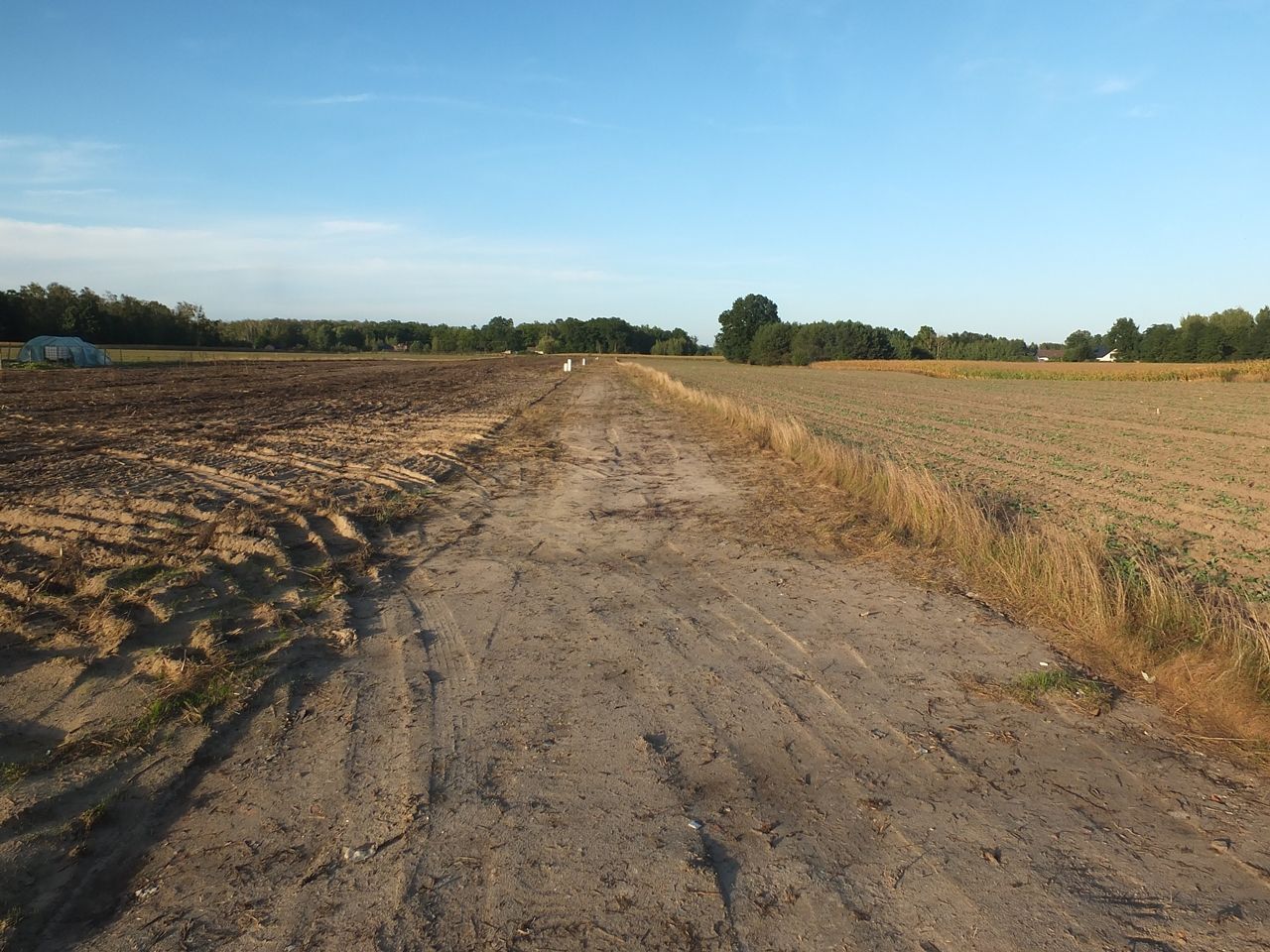 Działka budowlana Janów Ruszki. Zdjęcie 9
