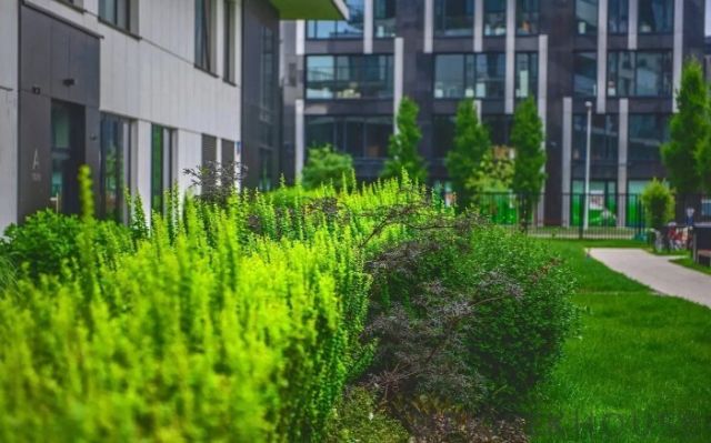 Mieszkanie 2-pokojowe Warszawa Żoliborz, ul. Szamocka. Zdjęcie 15