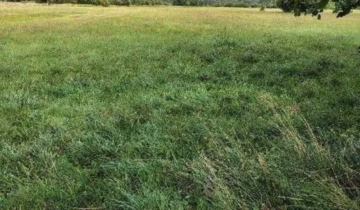 Działka rolna Molendy