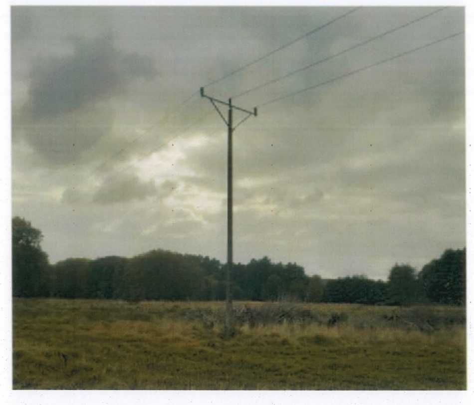 Działka rolna Przybiernów. Zdjęcie 3