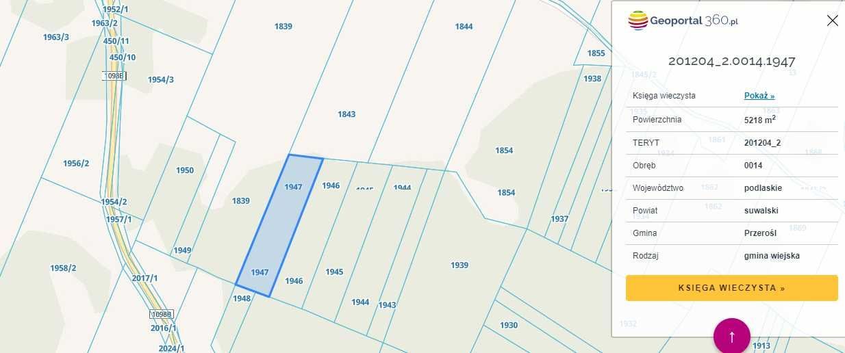 Działka leśna Przerośl. Zdjęcie 2