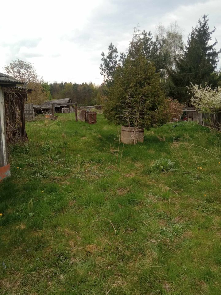 Działka rolno-budowlana Lipiny Dolne. Zdjęcie 3