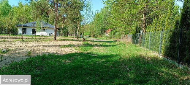 Działka leśna Ostrowiec Świętokrzyski, ul. Las Rzeczki. Zdjęcie 1