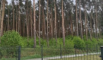 Działka leśna Kłady