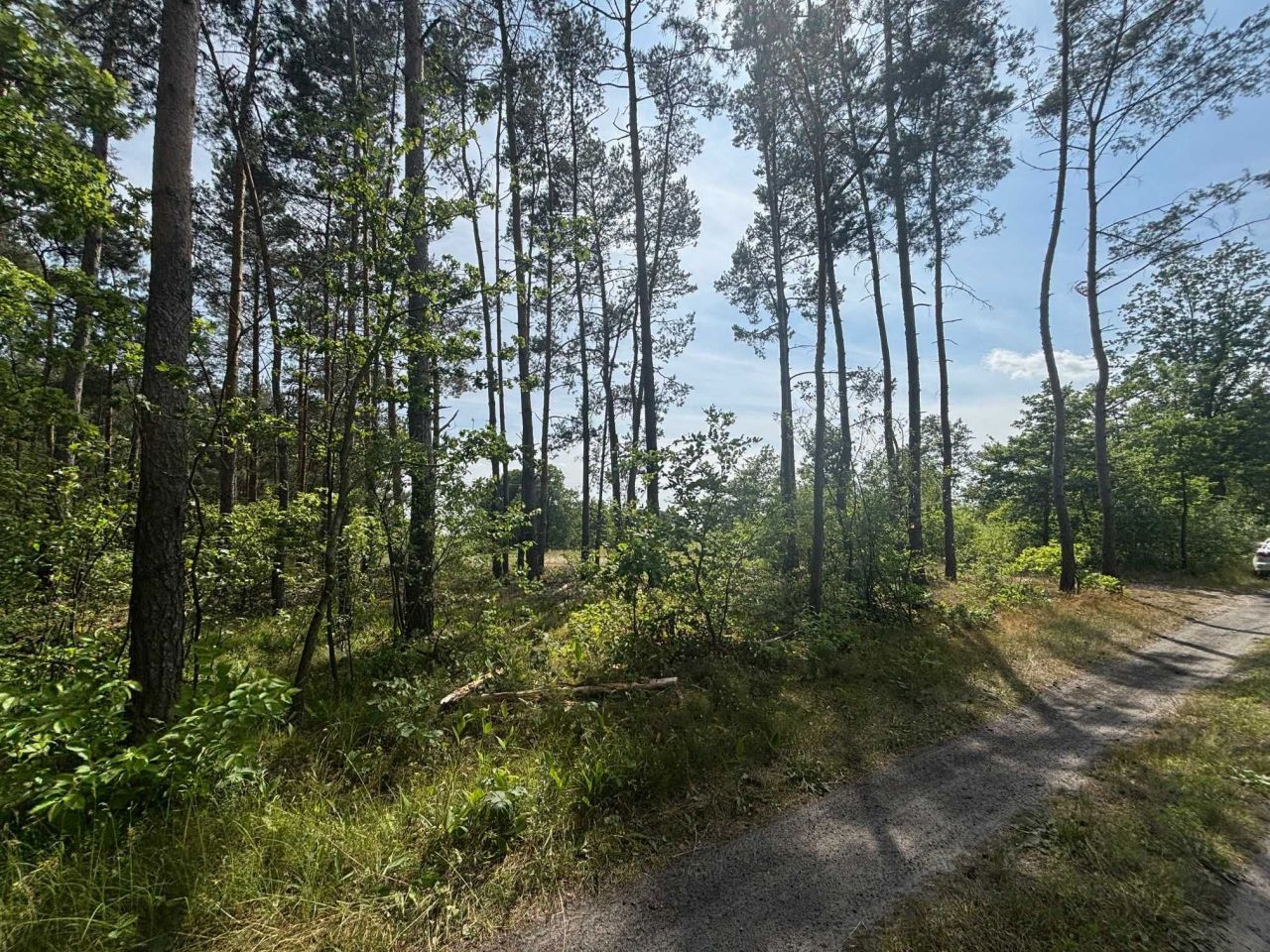 Działka rolno-budowlana Biernacice. Zdjęcie 2