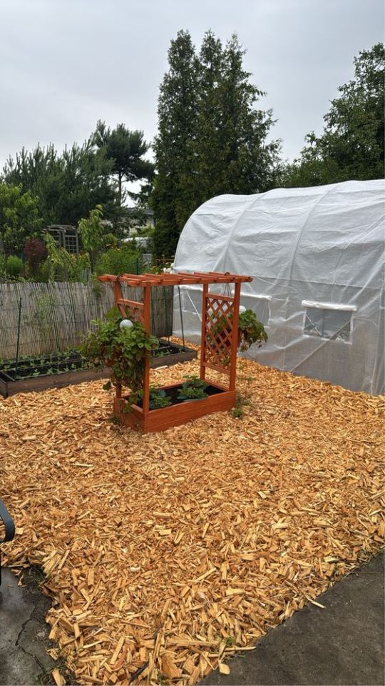 Działka rod Toruń. Zdjęcie 4