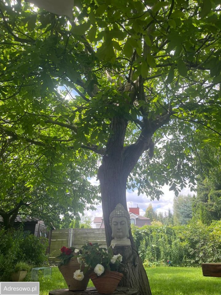 dom wolnostojący, 3 pokoje Puszczykowo, ul. Gołębia. Zdjęcie 2