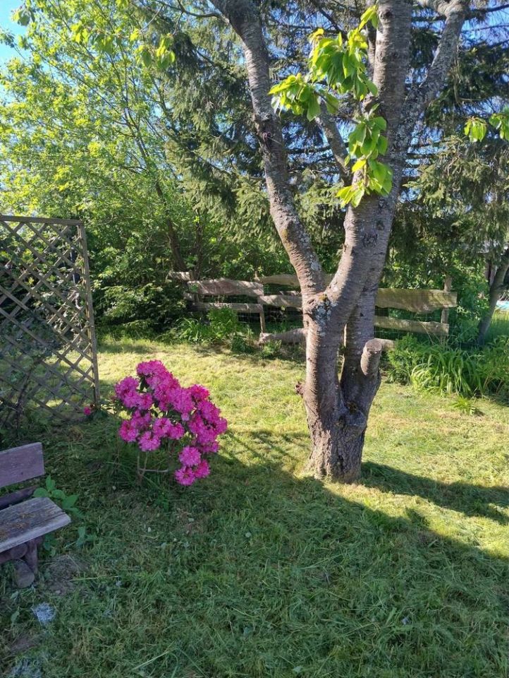 Działka rod Słupsk. Zdjęcie 4