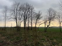 Działka budowlana Piegłowo-Wieś. Zdjęcie 2