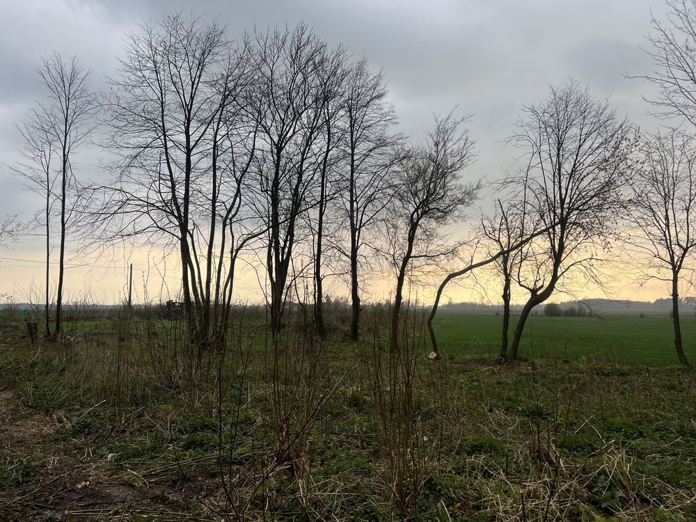 Działka budowlana Piegłowo-Wieś. Zdjęcie 3