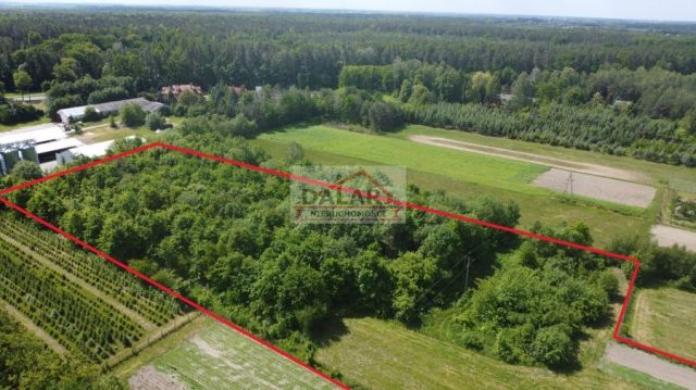 Działka budowlana Osuchów, ul. Leśna. Zdjęcie 5