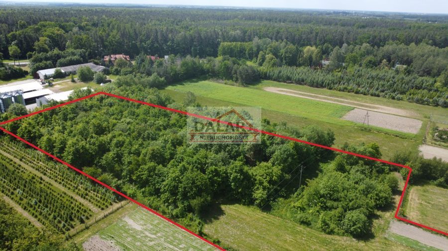 Działka budowlana Osuchów, ul. Leśna. Zdjęcie 5